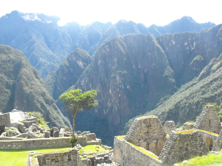 Samana Wasi Machu Picchu — foto 7