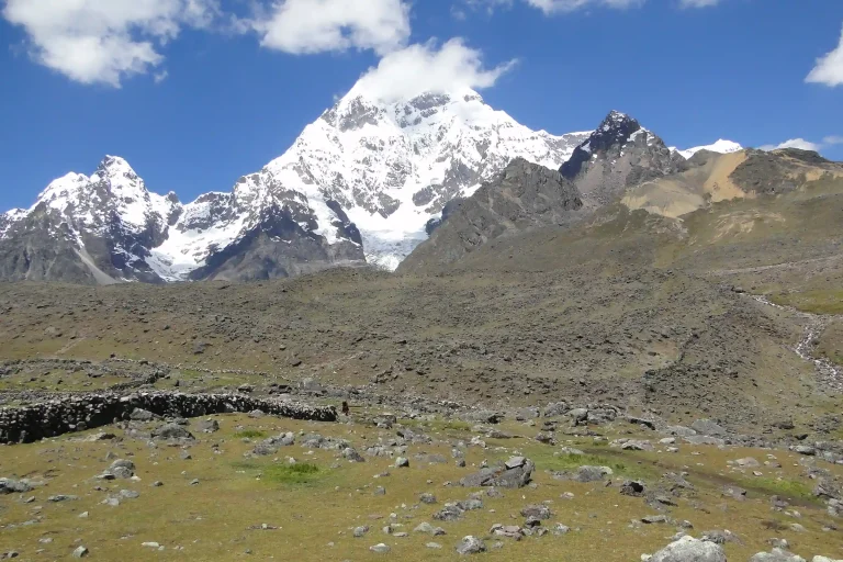 Mapi Art — foto 6
