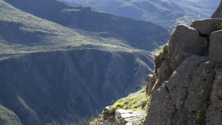 Machupicchu Packer — foto 5